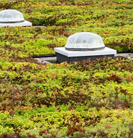 Tubo solar Solatube: Bells