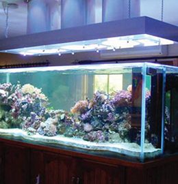 Tubo solar Solatube: Daylit fishtanks