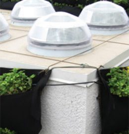 Tubo solar Solatube: Grouped curbs