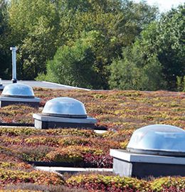 Tubo solar Solatube: Vegetated greenroofs