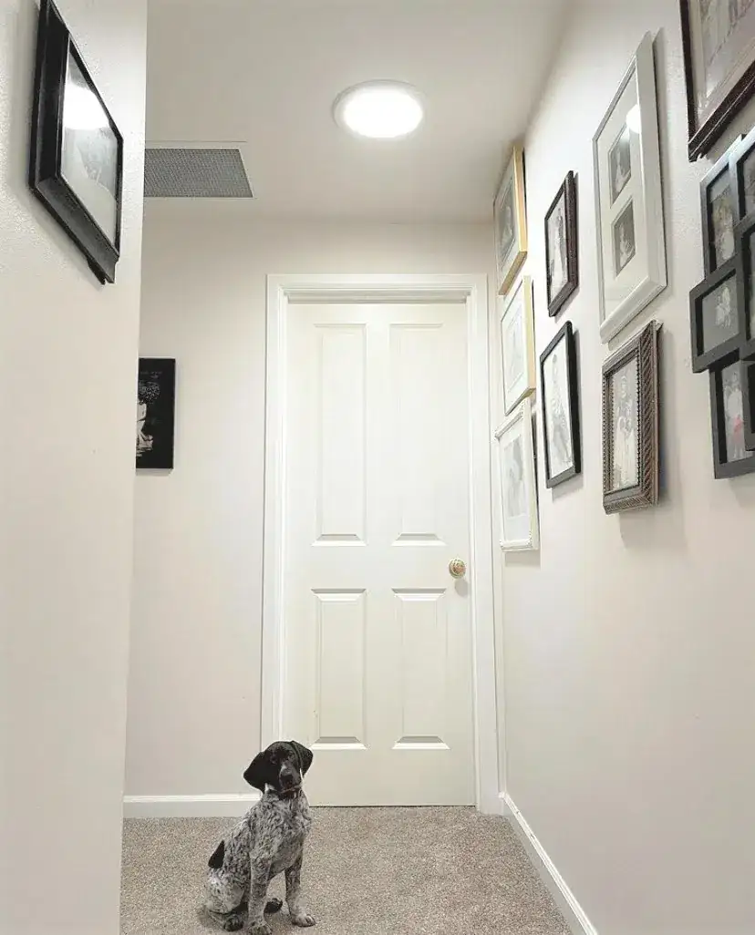 Pasillo de vivienda iluminado con tubo solar Solatube en el techo